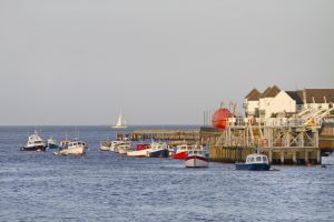 walkworth grange  fish quay 32 sm.jpg